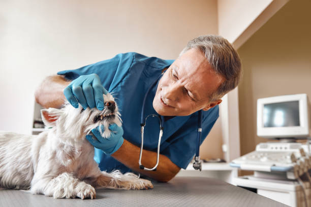 Best 24-Hour Emergency Dentist in Prudhoe Bay, AK
